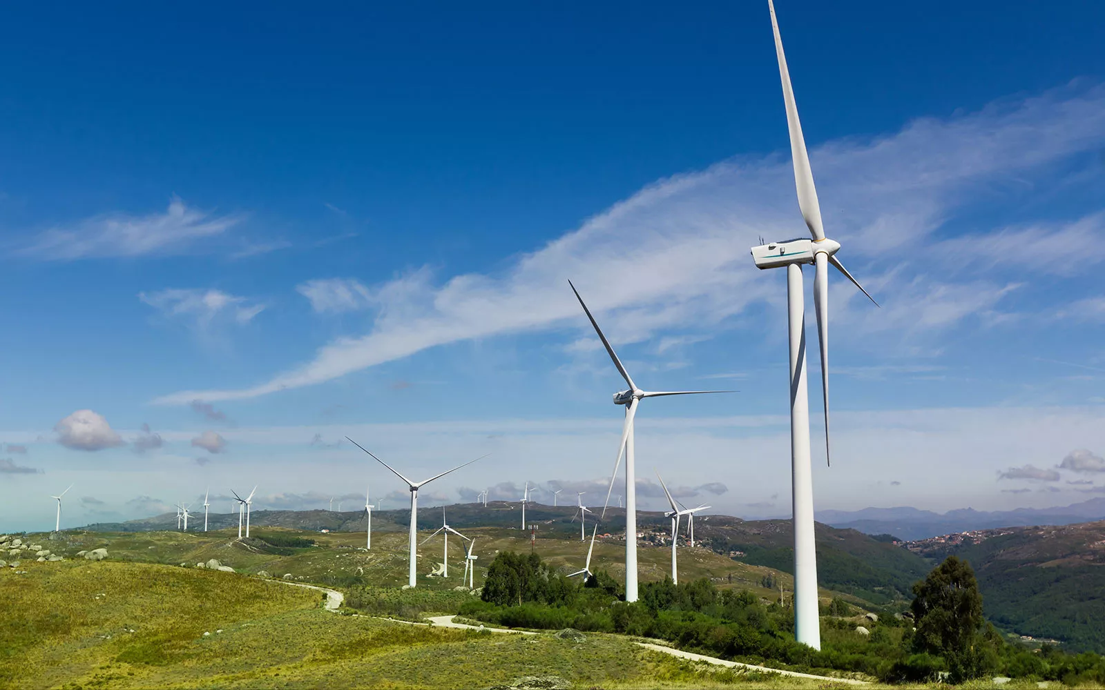 Sektor f&uuml;r neue Energien